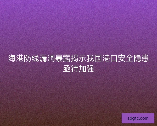 海港防线漏洞暴露揭示我国港口安全隐患亟待加强