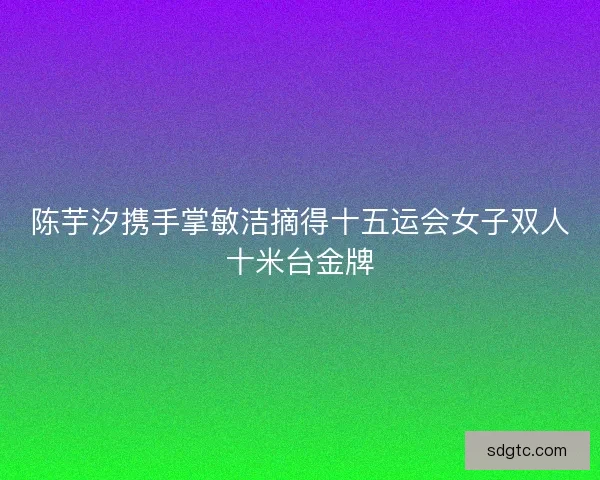 陈芋汐携手掌敏洁摘得十五运会女子双人十米台金牌