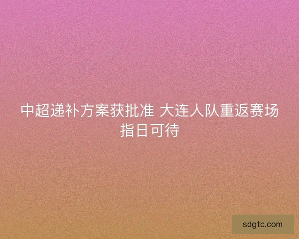 中超递补方案获批准 大连人队重返赛场指日可待