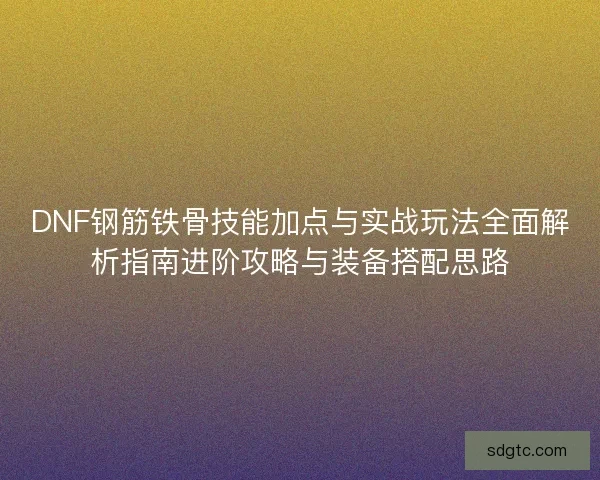 DNF钢筋铁骨技能加点与实战玩法全面解析指南进阶攻略与装备搭配思路