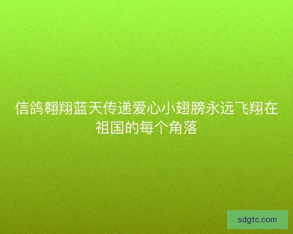 信鸽翱翔蓝天传递爱心小翅膀永远飞翔在祖国的每个角落