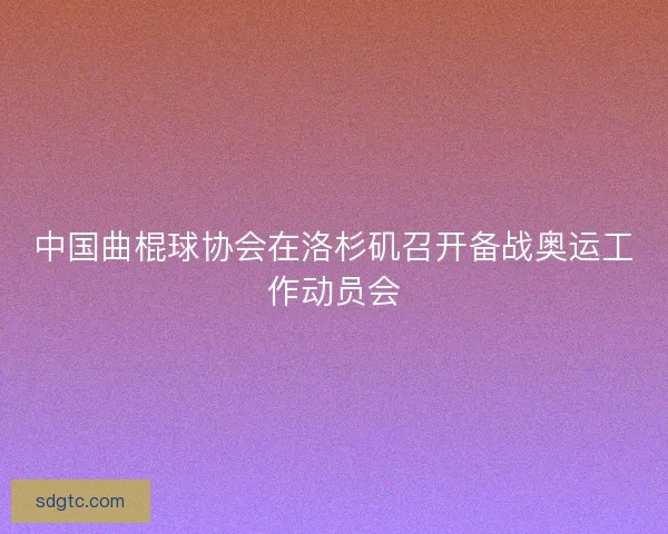 中国曲棍球协会在洛杉矶召开备战奥运工作动员会 中国曲棍球协会在洛杉矶召开备战奥运工作动员会